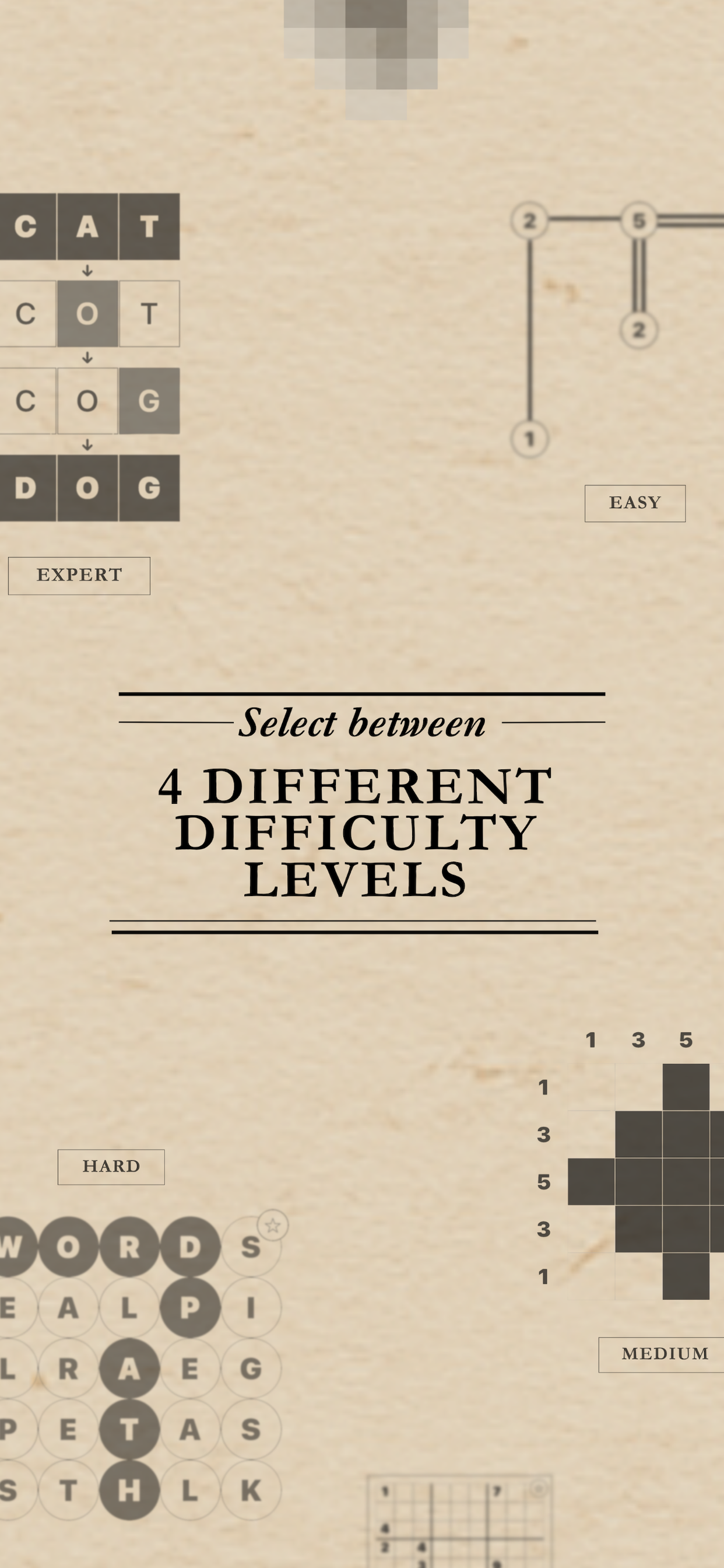 The Puzzle Section