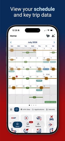 APA Pilot 3 screenshot