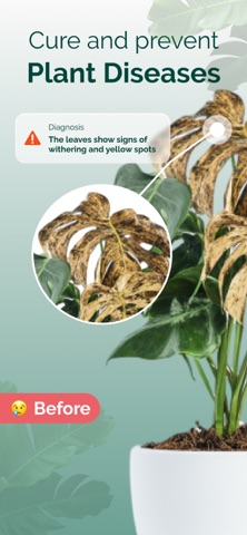 PicturePlant: Plant Identifier iPhone screenshot