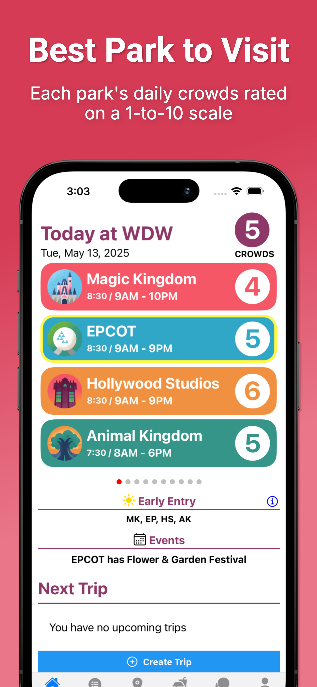 Disney World Lines (TP)
