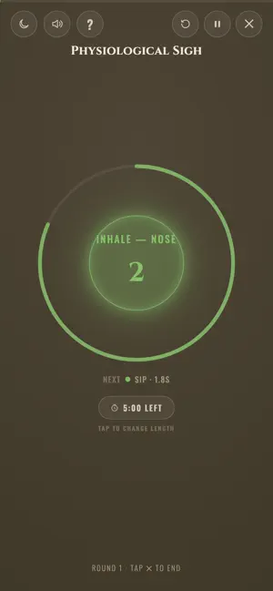 Aeolian: Breath Field Manual screenshot 2