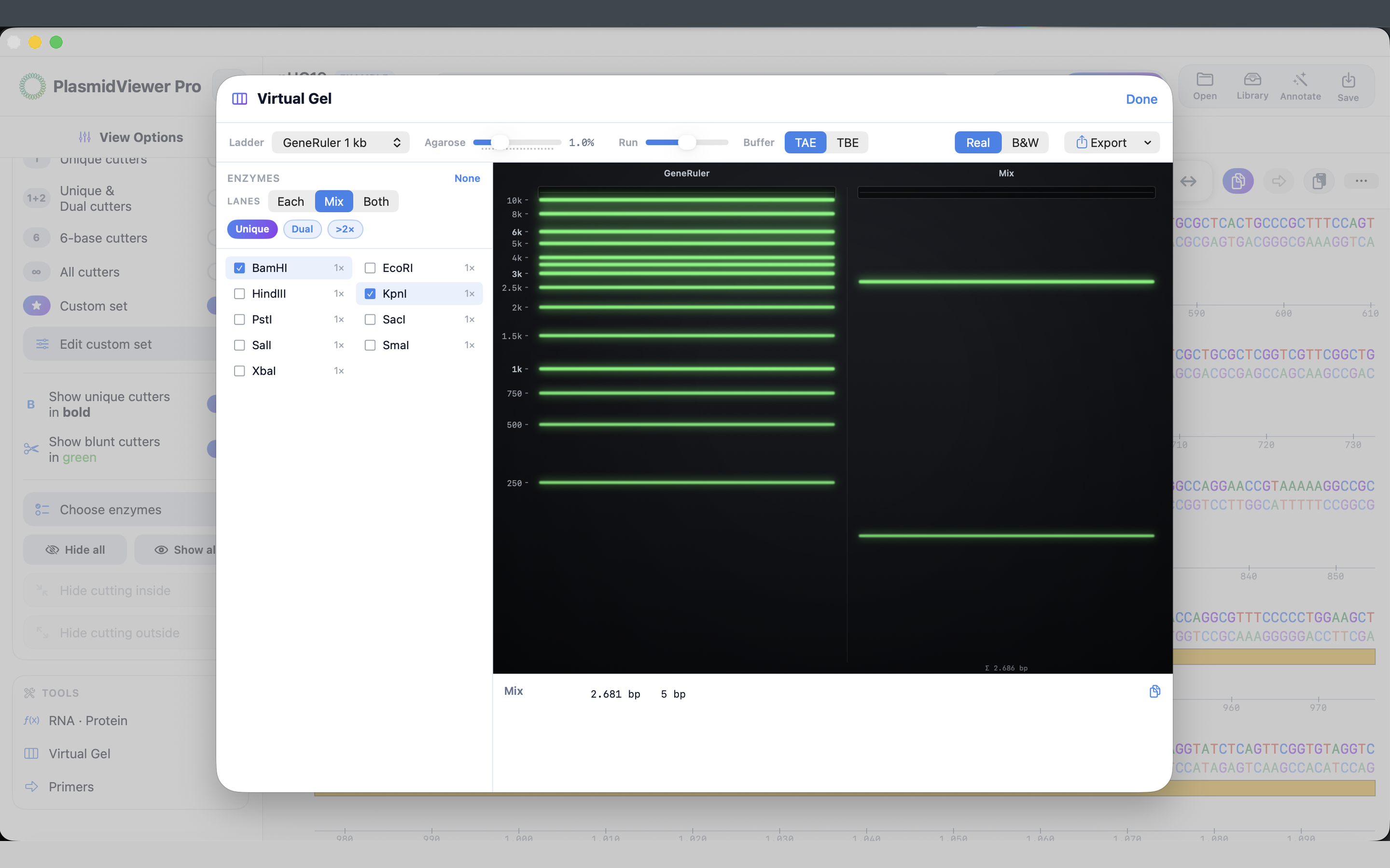 PlasmidViewer Pro screenshot 19
