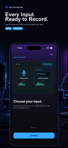 Multich Record Screenshot 1 of 5