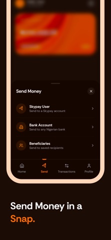 SkyPay Africa Screenshot 1 of 7
