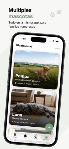 MiCompi screenshot
