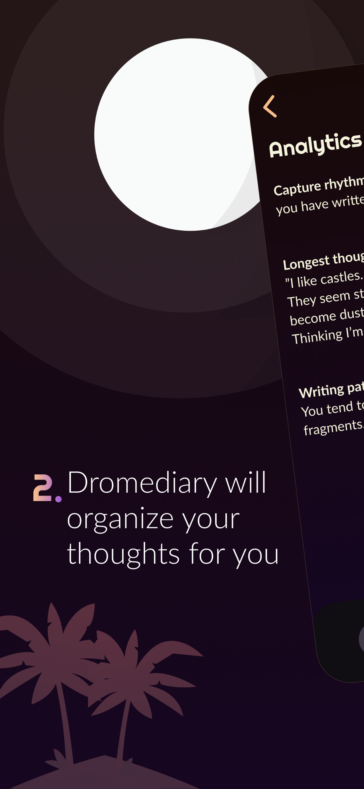 DromeDiary