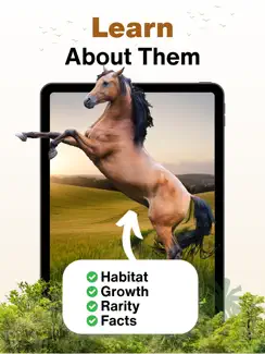 Animal Identifier: AI Scanner iPad image 2