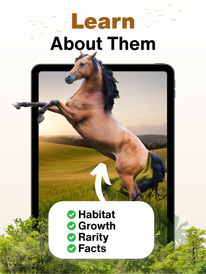 Animal Identifier AI Scanner