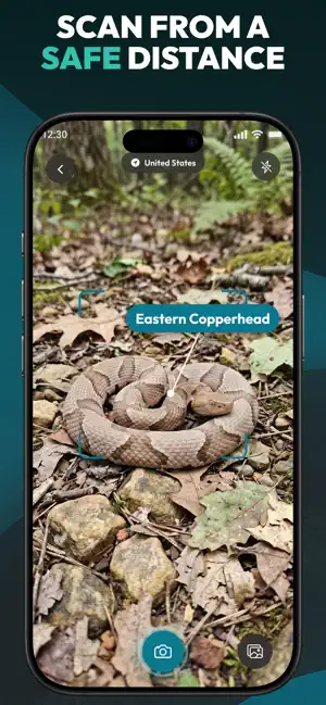 Primo Snake - Snake Identifier screenshot 2
