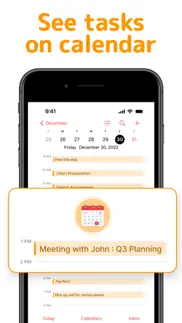 reminders: to do list & widget iPhone Captures Décran 2