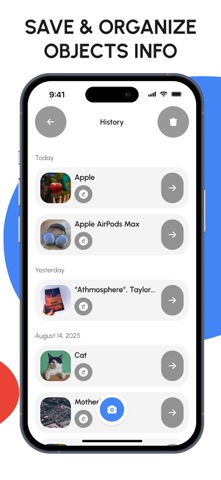 Lens Identify Image, Scan screenshot