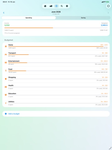 Savings: Income and expense iPad screenshot
