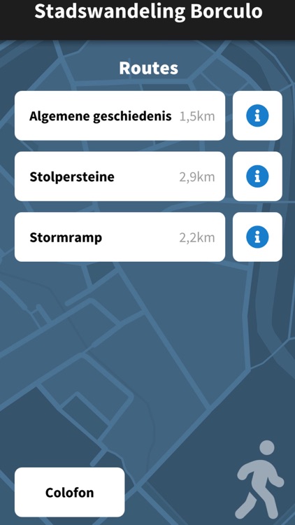Stadswandeling Borculo