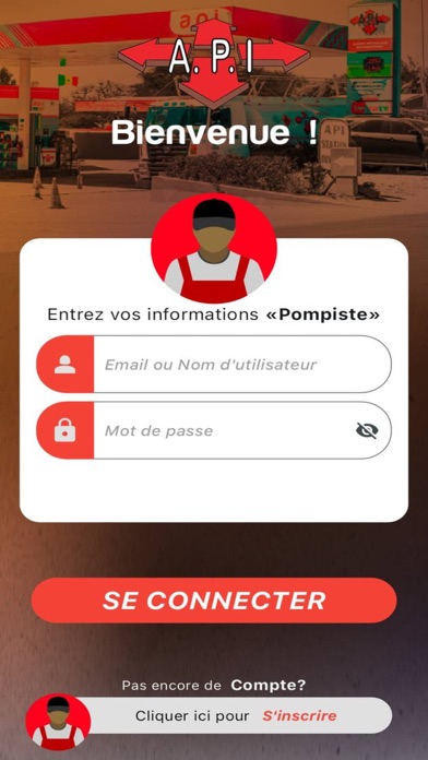 API BUSINESS Screenshot