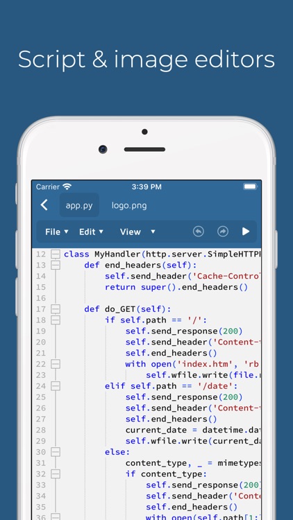 Pythonica: Code and Debug screenshot-3