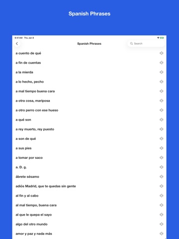 Spanish Idiom Dictionary iPad screenshot