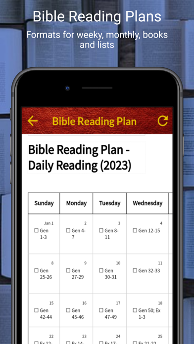 BBE Basic English Bible Screenshot