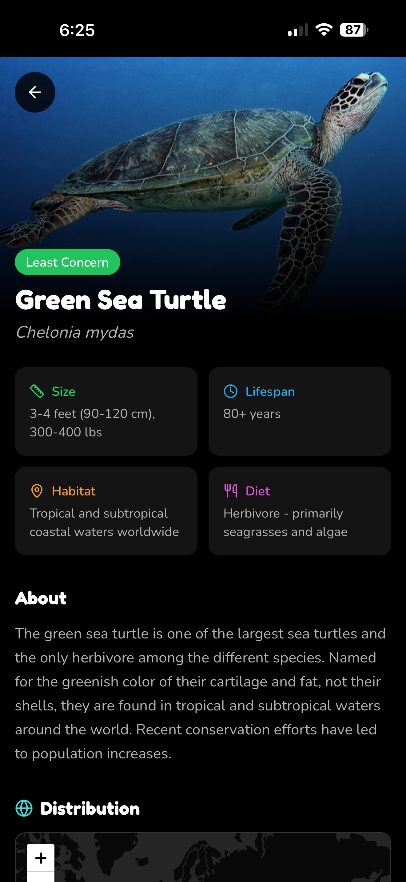 TurtleFluent screenshot 3