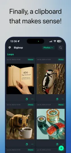 Bigloop iPhone Screenshot 1