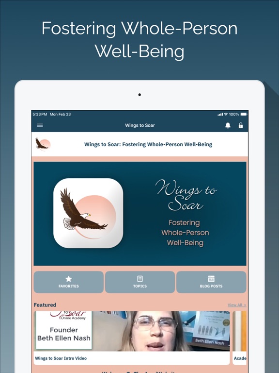 Screenshot #5 pour Wings to Soar