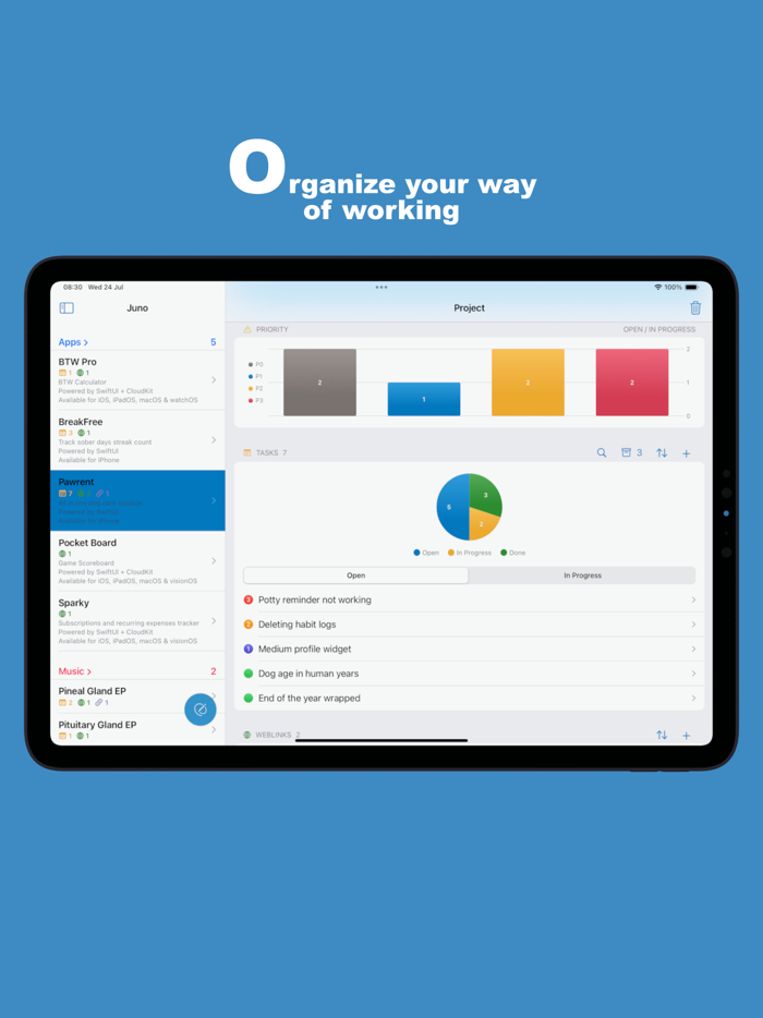 Task  Project Manager - Juno