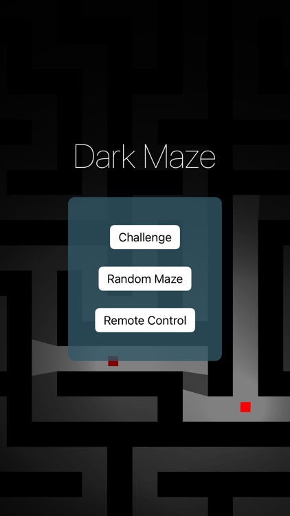 Dark Maze - the hidden path