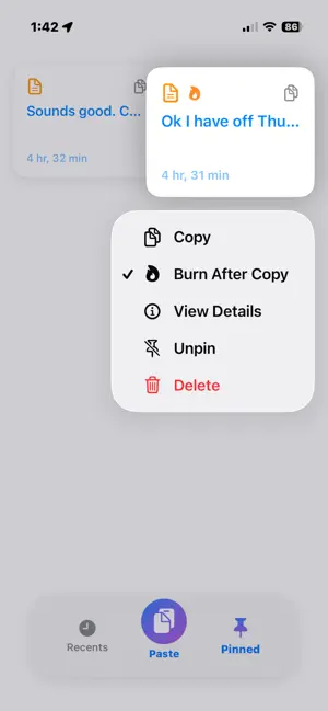 ClipSafe - Clipboard History screenshot 2
