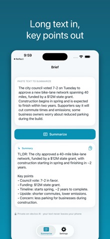 Brief: AI Summarizer Screenshot 1 of 2