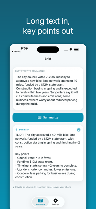 Brief: AI Summarizer Screenshot 1 of 2