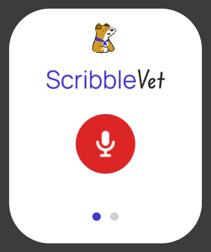 ScribbleVet – the AI Scribe