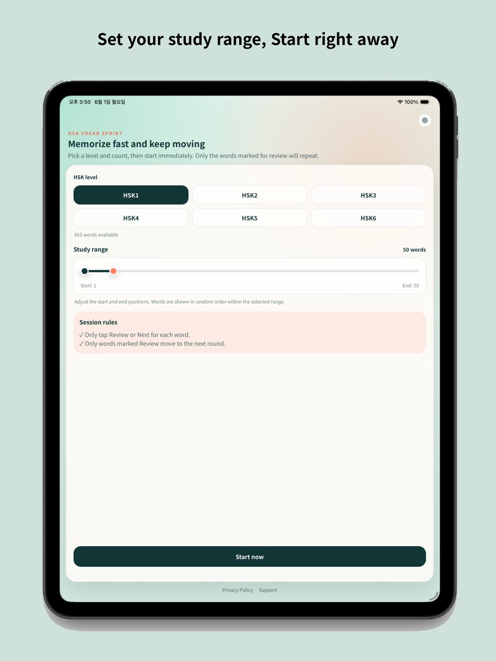 iPad screenshot