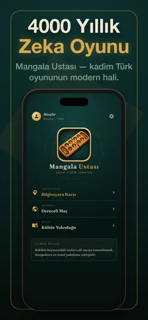 Mangala Oyunu: Zeka Oyunu screenshot 1