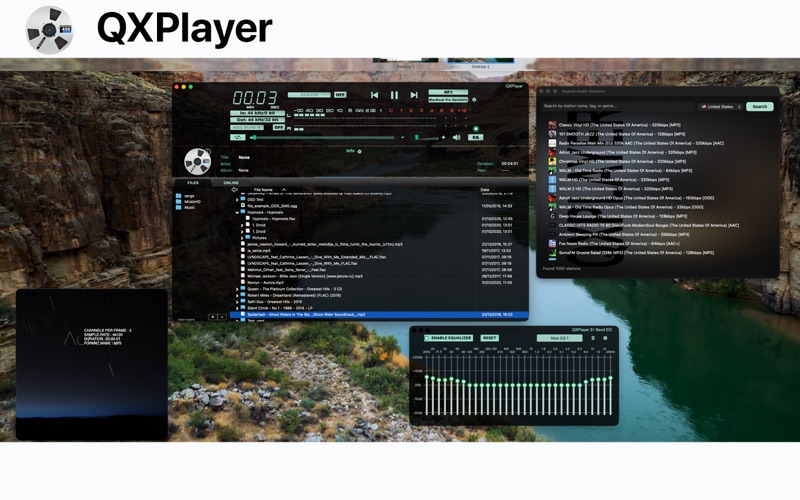 Screenshot #3 pour QXPlayer