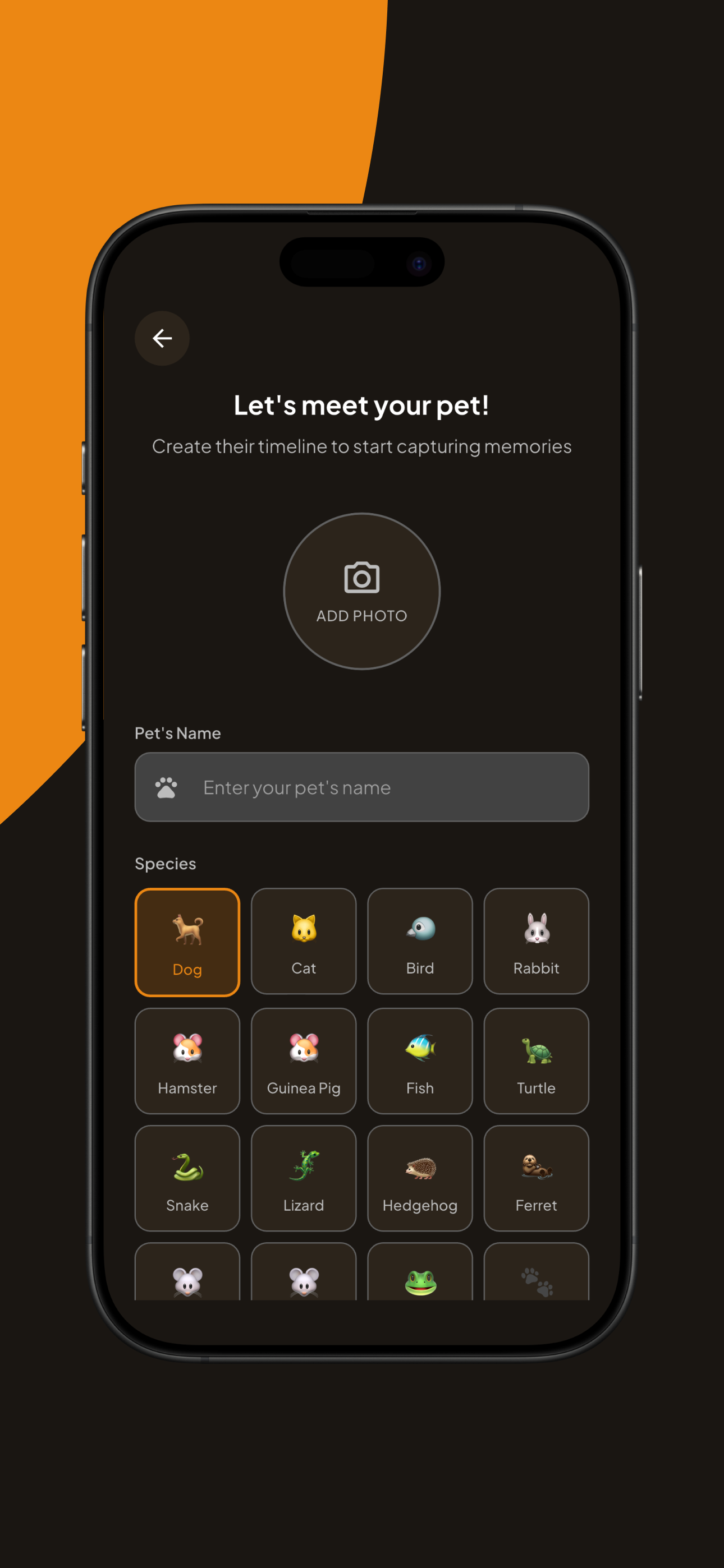 Pawmi: Capture Pet Moments