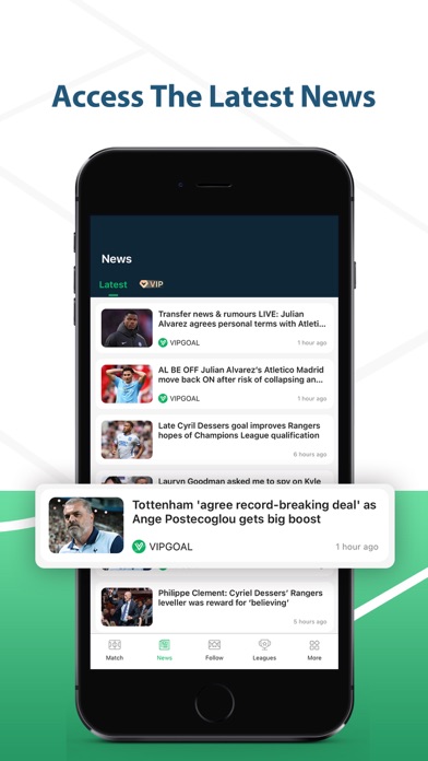 VIPGoal - Live Sports Scores Screenshot