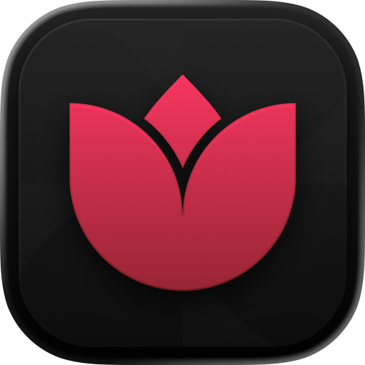 Amored: Partner Intelligence
