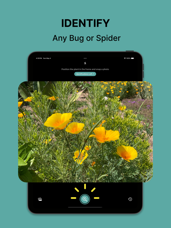 Plant ID PlantClip AI