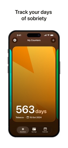 Berlingo - Sober Days Counter iPhone screenshot