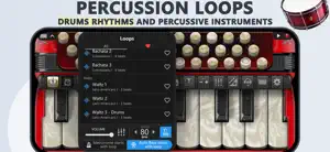 Accordion Piano Cassoto screenshot 4