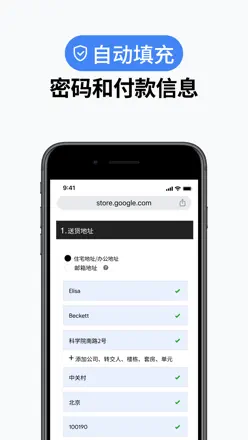Google Chrome screenshot 4