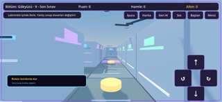 Mind Maze: IQ Labirenti screenshot
