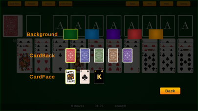 Forty Thieves Solitaire Pro Screenshot