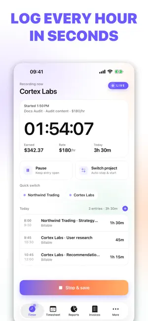 iTimeSheet: Hours & Invoices screenshot 2
