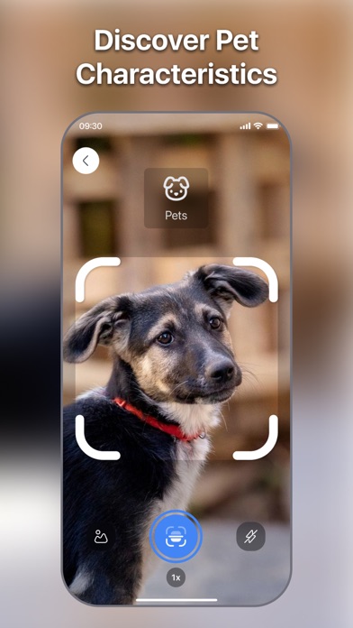Lens Scan: Identify Anything Screenshot