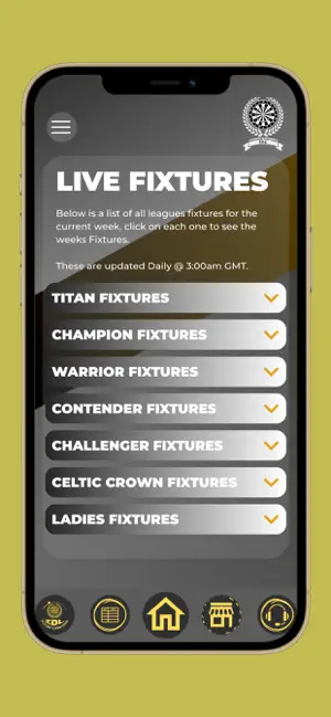 International Darts League screenshot 1