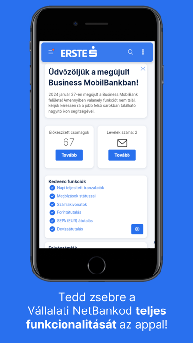 Erste Business MobilBank Screenshot