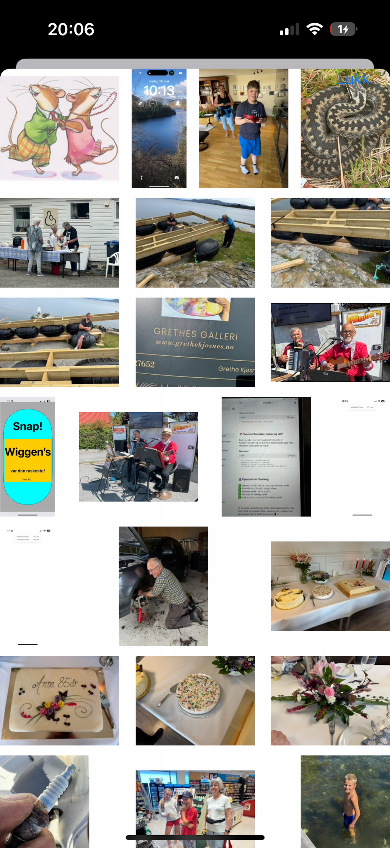 SafeViewer screenshot 3