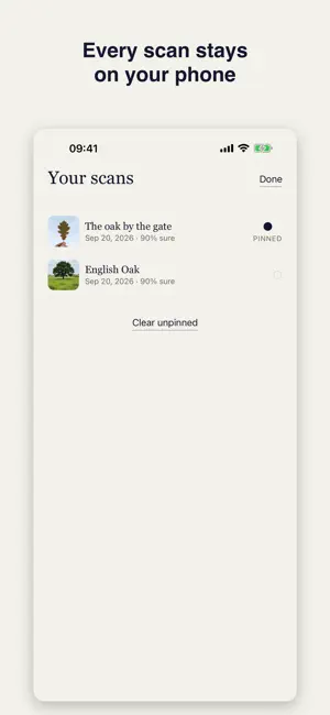 Tree Identifier: Fairly screenshot 4