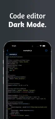 Quillr Code Editor screenshot 2