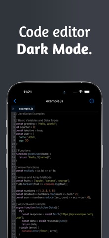 Quillr Code Editor app screenshot 2